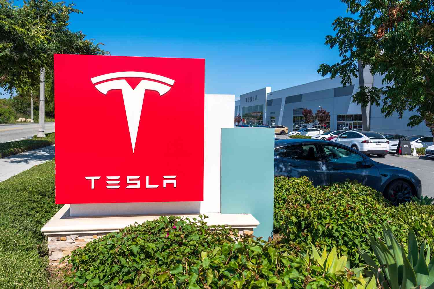 Tesla Menggila di Awal 2026! Penjualan Melesat Drastis Saat Angka BYD Justru Terjun Bebas di China